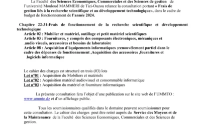 Avis de consultation N° 13/SMM /FSECSG/UMMTO/2024