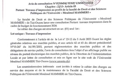 Avis de Consultation N°07/SMM/FDSP/UMMTO/2024