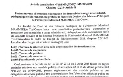 Avis de Consultation N°16/SMM/FDSP/UMMTO/2024