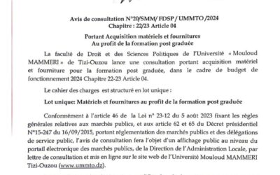 Avis de Consultation N°20/SMM/FDSP/UMMTO/2024