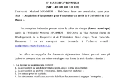 Avis de consultation N° 01 VRDPO/UMMTO/2024
